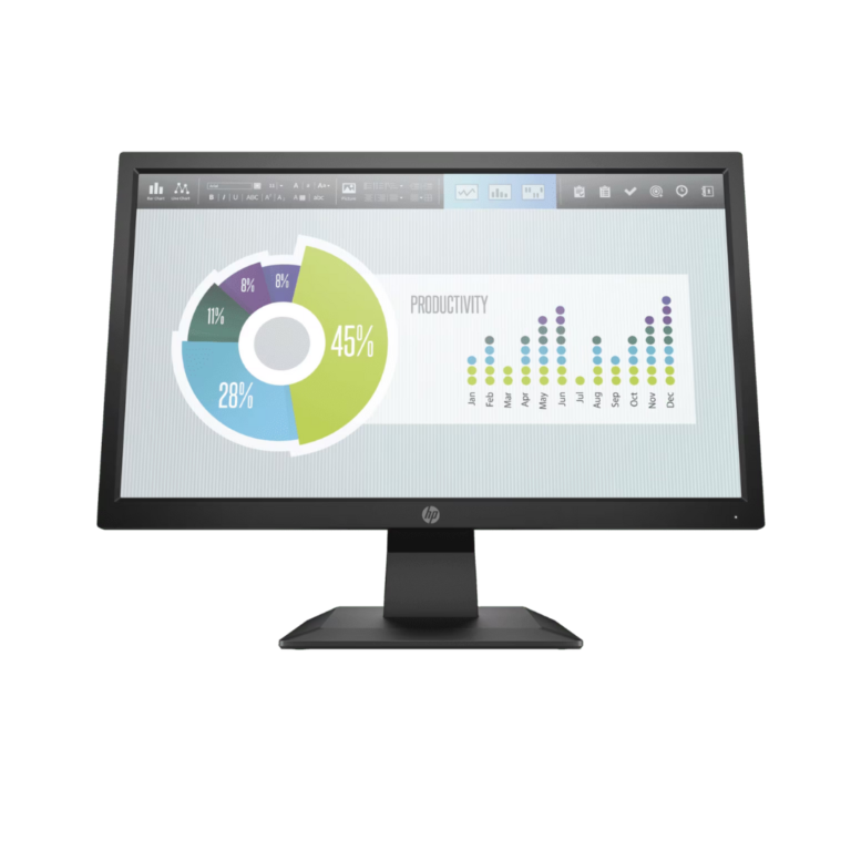 HP P204v 19.5" Business Monitor