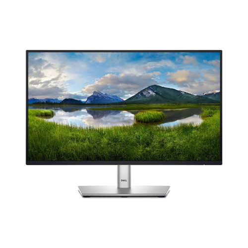 Dell 24 Monitor P2422H